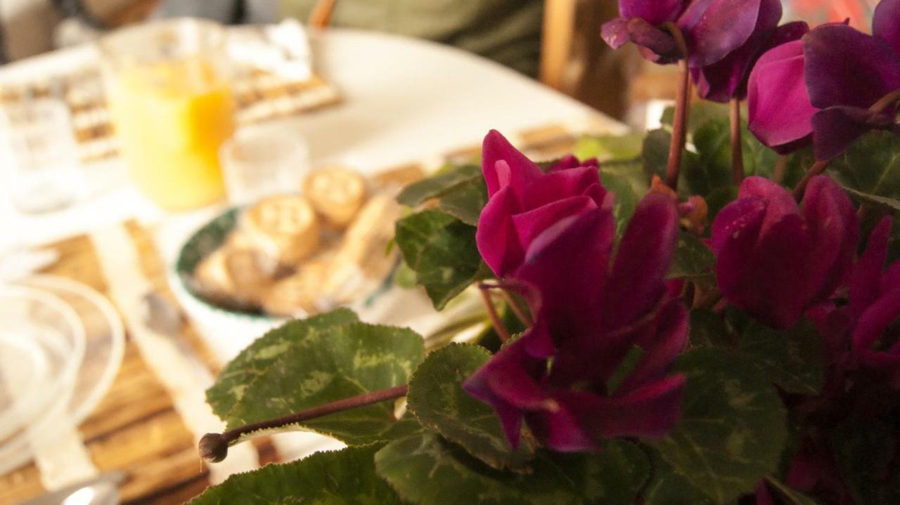 Casavacanze Belvedere Sperlongaアパートメント エクステリア 写真